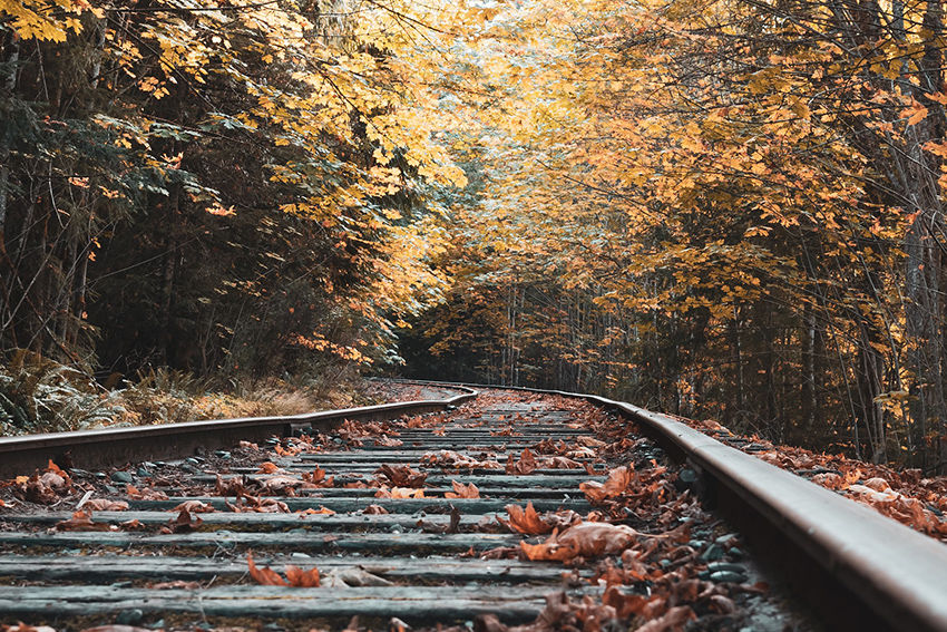 autumn leaves rail